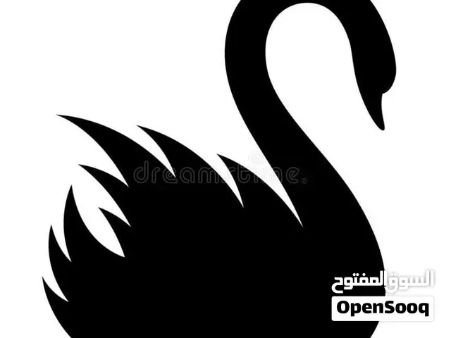 لوغوات احترافية للبيع - الرباط