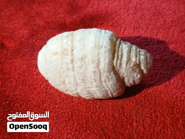 حجر عقيق للبيع - أكادير