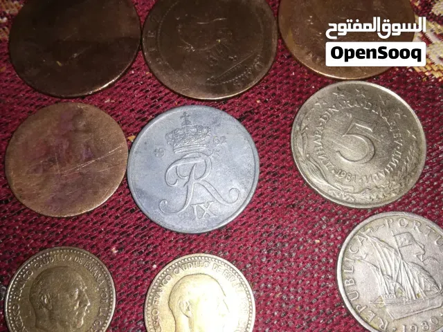 البيع والشراء على كل - القنيطرة