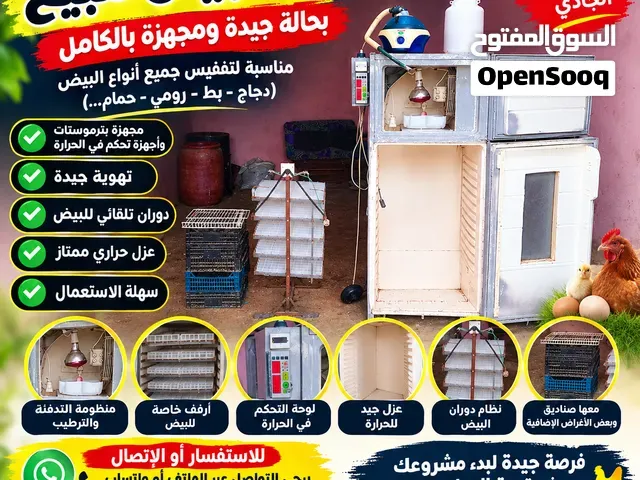 فقاصة لجميع انواع البيض بحجم 360 بيضة - الرباط