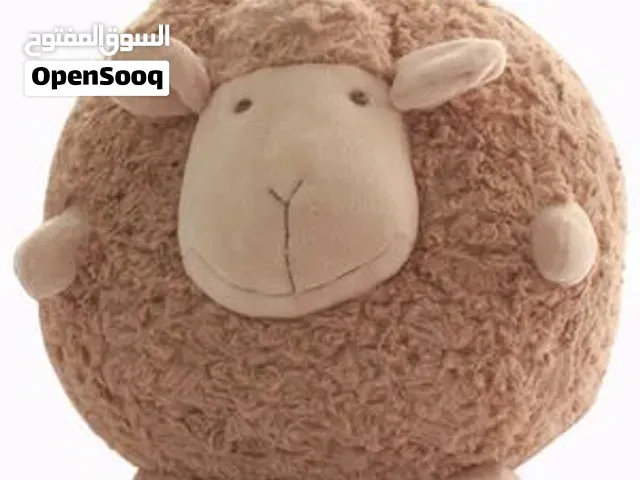 خروف للبيع من كوري للمناسبات - الرباط