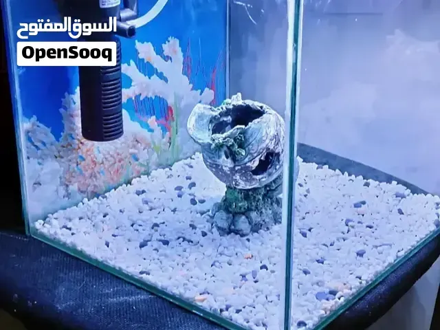 Aquarium Complet 25 Cm . - مكناس