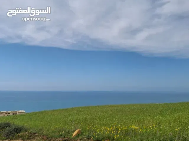 أرض فلاحية محفظة للبيع مباشرة على البحر للمشاريع السياحية - طنجة