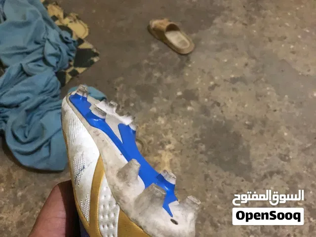 كوداس مليح في مدينة سلا تمن رخيص - سلا