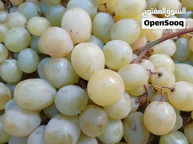 عنب بي تمن مناسب - سطات