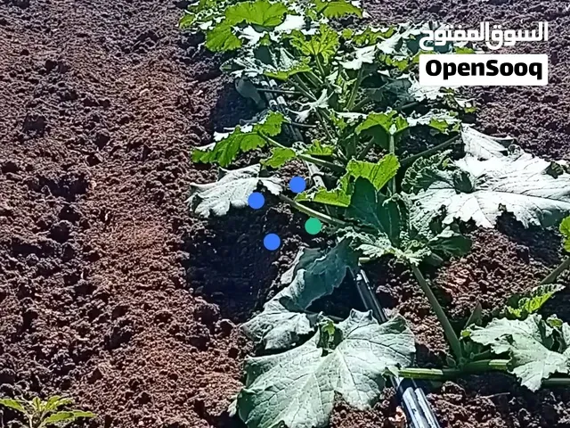 أرض للبيع بنواحي إقليم عين الله فاس - فاس