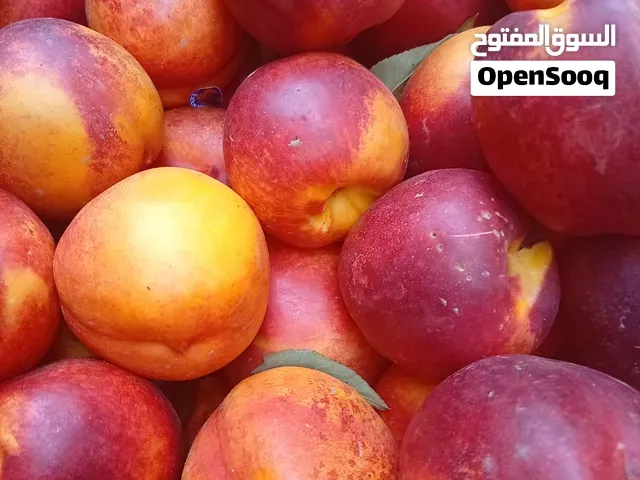 شهدية تمن مناسب - سطات