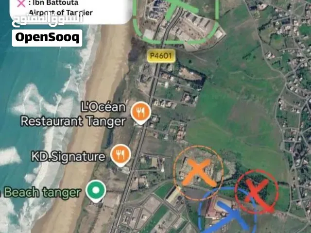للبيع أرض عقارية مميزة بأشقار طنجة  39000 متر مربع بإطلالة على البحر - طنجة