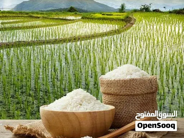 الأرز الإيراني - الرباط