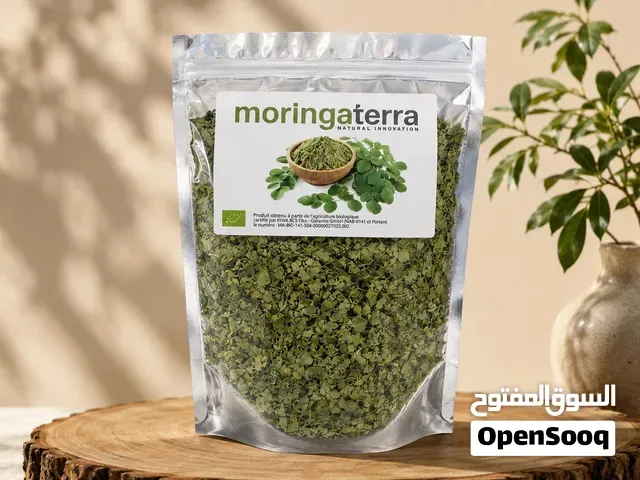 نبتة المورينجا (Moringa oleifera) - أكادير