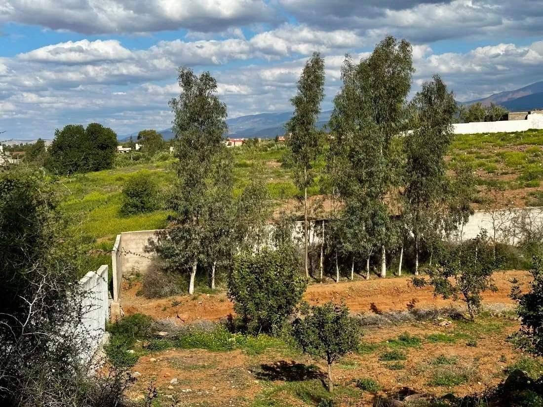 Ferme avec Villa Plain Pied à Vendre à Ghmat – Route de L’Ou... - مراكش (3)