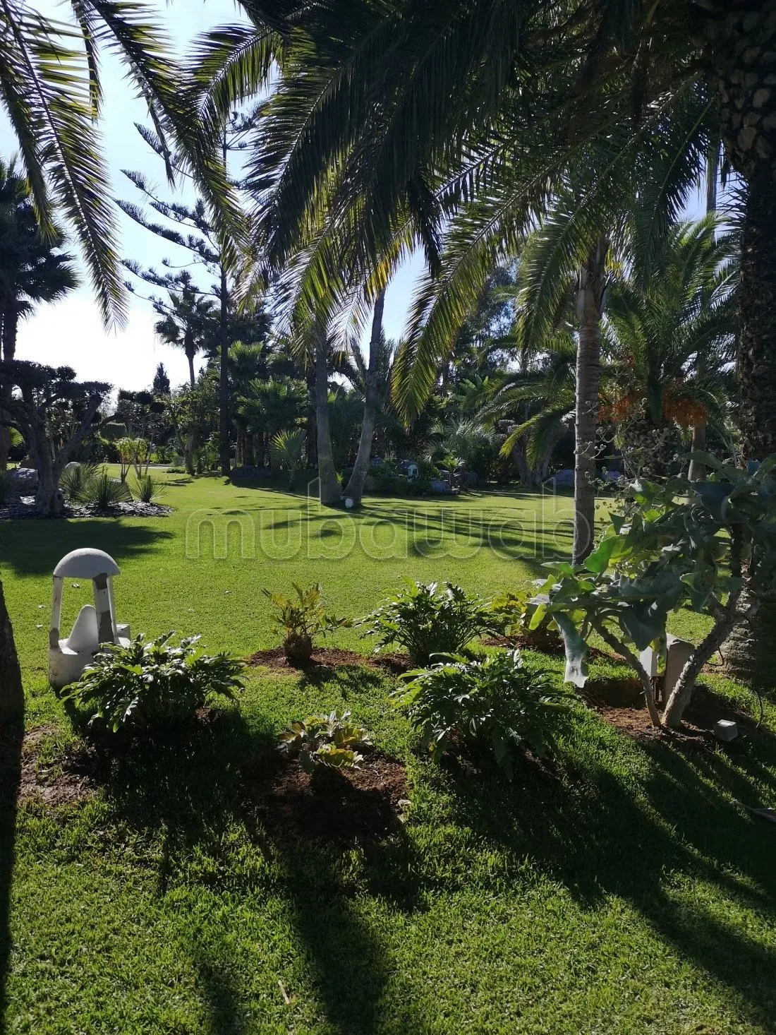 Une ferme de luxe à vendre de 22500m Bouznika - بوزنيقة (2)