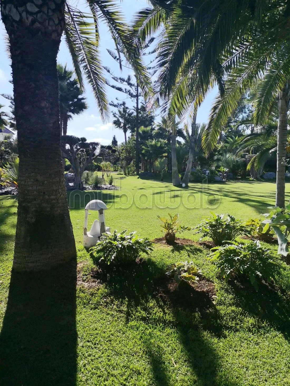Une ferme de luxe à vendre de 22500m Bouznika - بوزنيقة (3)