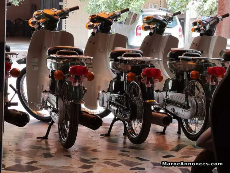 Neos yamaha v3 - مراكش (2)