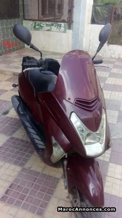 Motor vipir - تطوان (2)