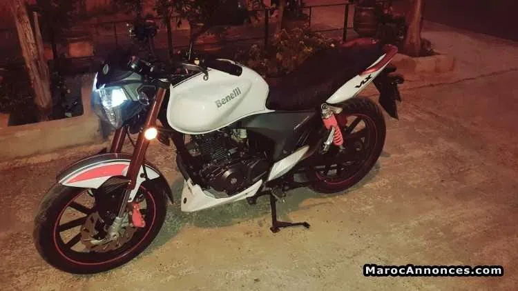 Benelli vlx - القنيطرة (3)