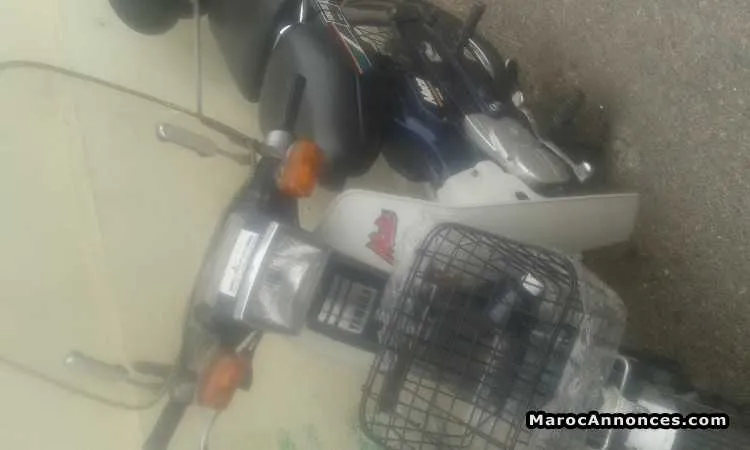 Yamaha v50 blue - الدار البيضاء (3)