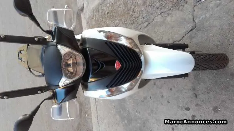 Moto  sh 125 - المحمدية
