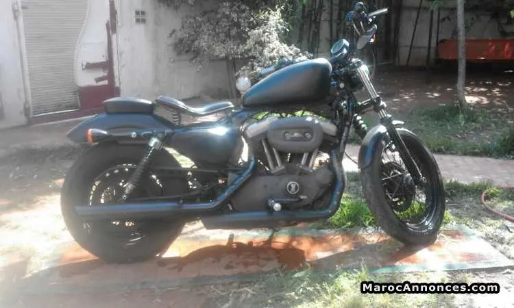 Harley davidson - الدار البيضاء (2)