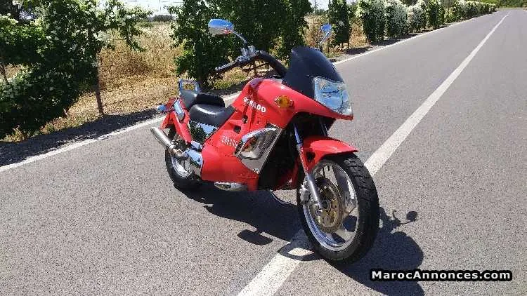 Dorado corvus 250 cc - مراكش (3)