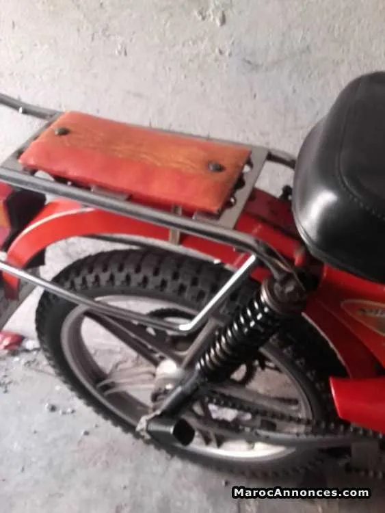 Ninja 2010 - سلا (2)