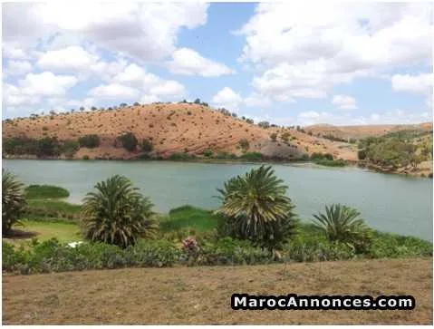Eco-lodge a vendre region d'el jadida - الجديدة (3)