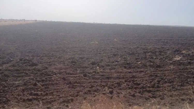 Vente terrain - بن أحمد