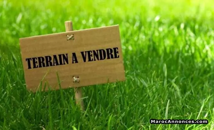 Terrain en zone immeuble a derb ghellef - الدار البيضاء