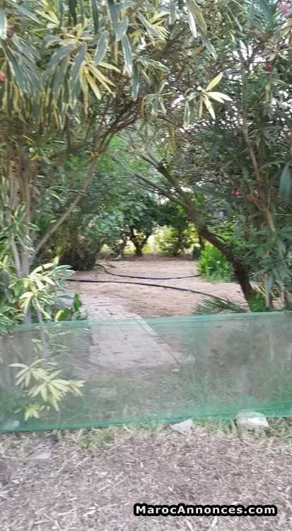 Ferme à bouznika - بوزنيقة