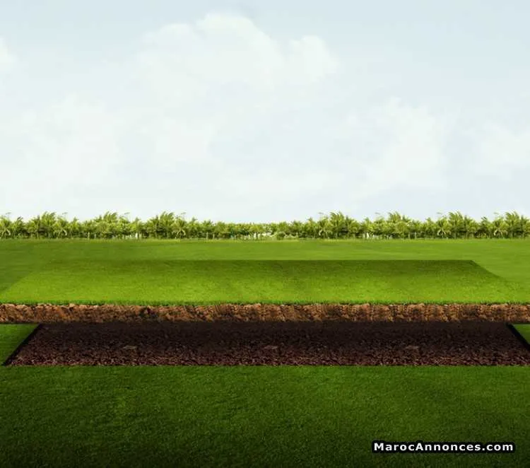 Lots de terrain - بوزنيقة