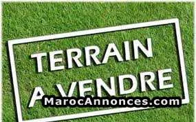 Terrain r+4 de 303 m2 a 2 façades à hay al matar - الجديدة