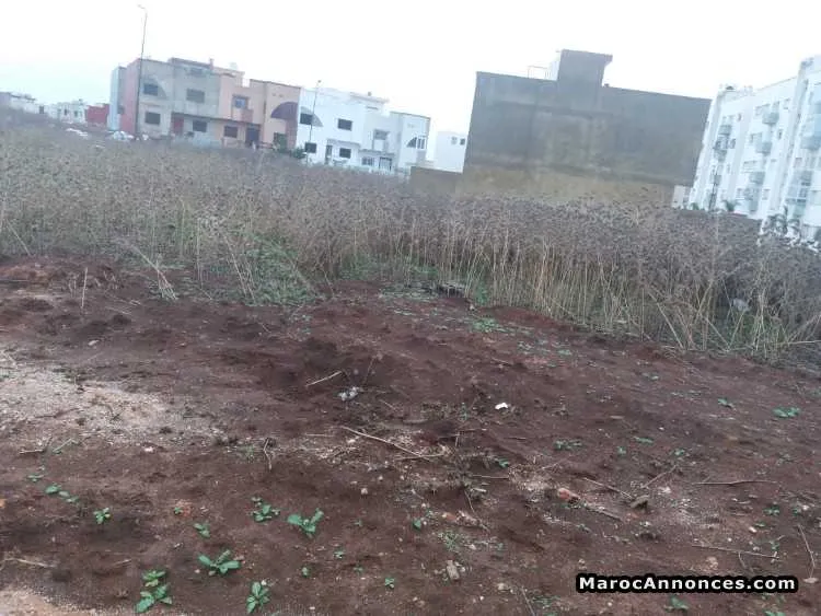 Lot de terrain de 181 m2 pour villa - مكناس (3)
