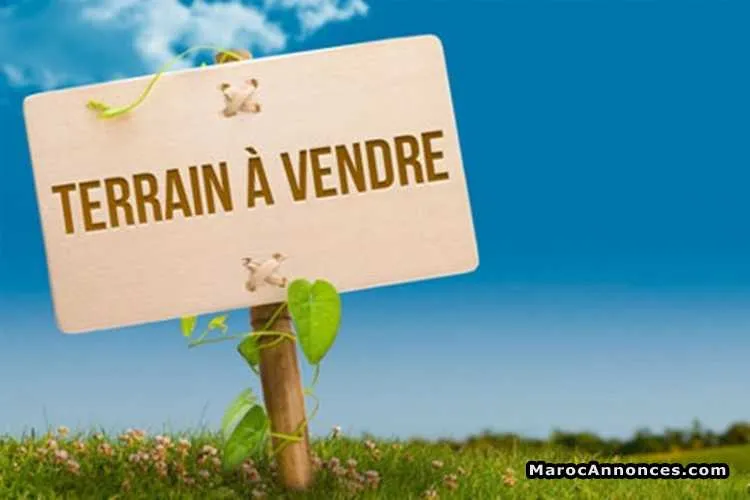Terrain en zone immeuble a palmier - الدار البيضاء