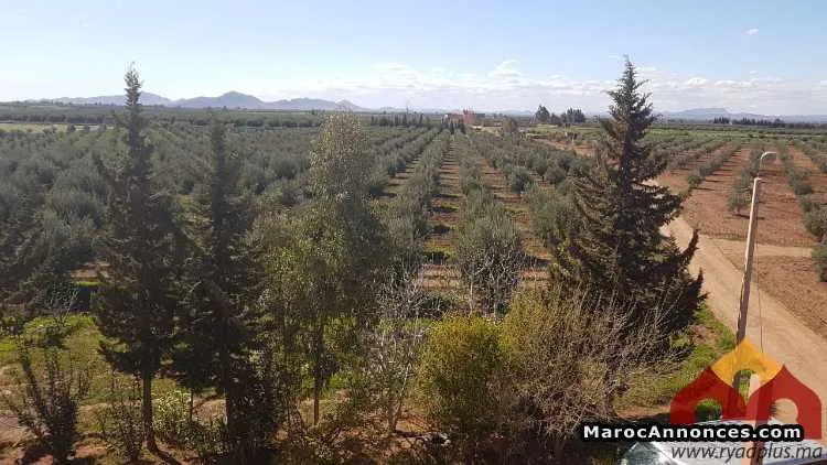 Terrain à vendre - مراكش