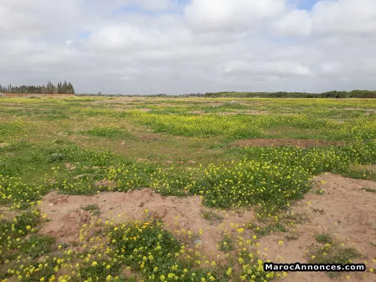 Vente terrain de 1075m² à route ouarzazate - مراكش (2)