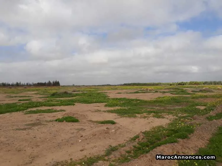 Vente terrain de 1075m² à route ouarzazate - مراكش