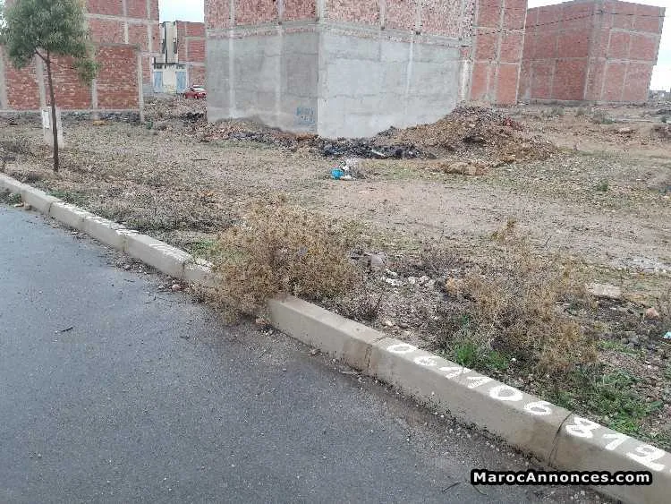Lot de terrain à lazari - وجدة (2)