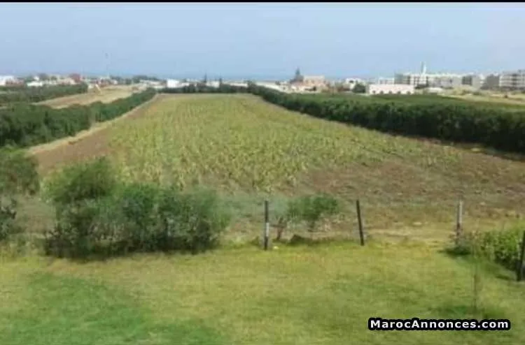 Terrain  a sidi rehal - الدار البيضاء (3)