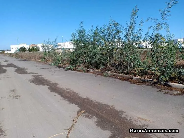 Lot de villa de 750 m2 à el jadida - الجديدة
