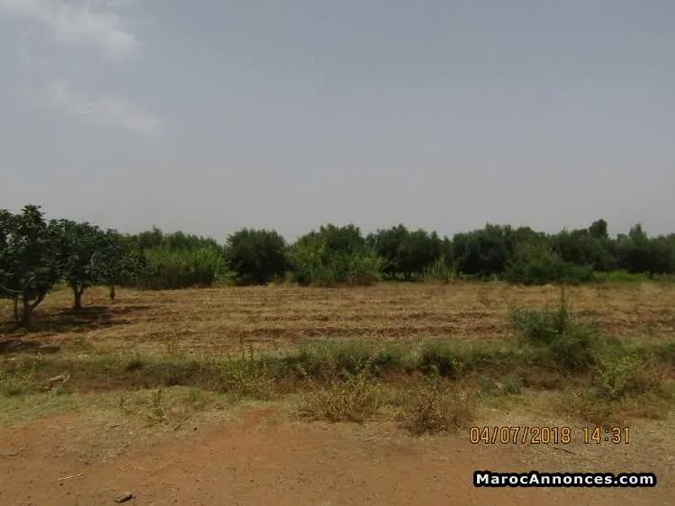 Vente terrain titré à route d’ourika km 9 - مراكش