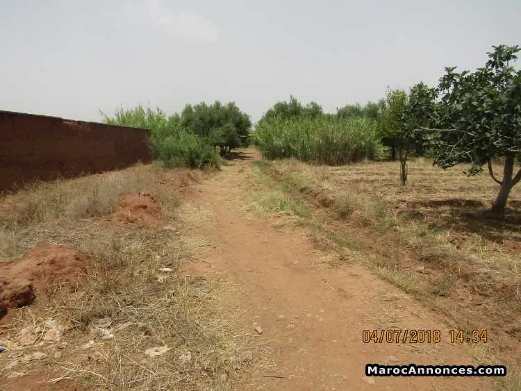 Vente terrain titré à route d’ourika km 9 - مراكش (2)