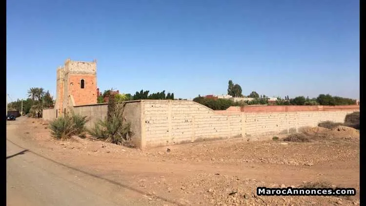 Terrain titré à belaaguid marrakech - مراكش (3)