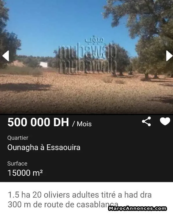 Terrain a vendre - الصويرة (2)