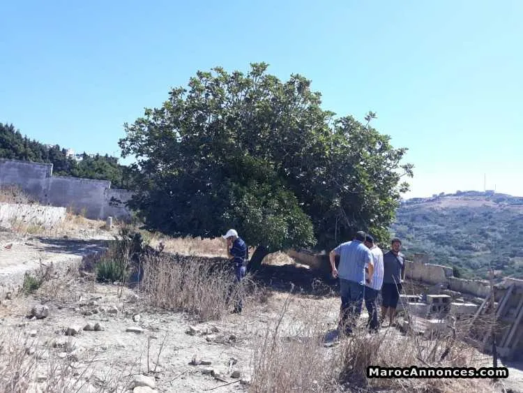 قطعة أرضية للبيع منطقة المنار مساحة 4365 ثمن 3000 - طنجة