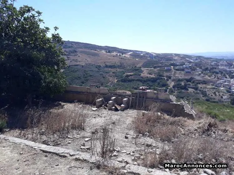 قطعة أرضية للبيع منطقة المنار مساحة 4365 ثمن 3000 - طنجة (2)