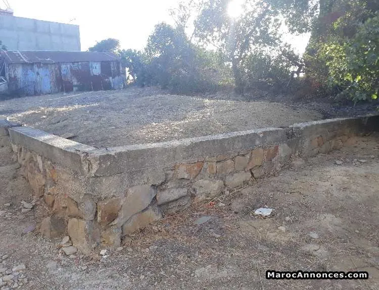 Terrain 439 m2 tanger - طنجة