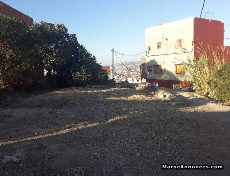 Terrain 439 m2 tanger - طنجة (2)