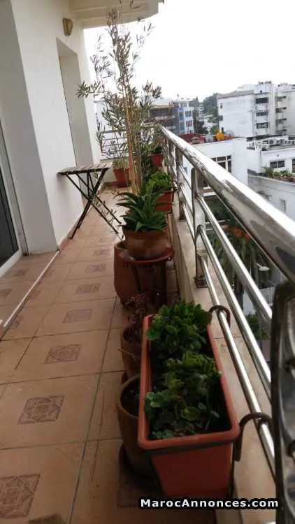Appartement luxueux meublé à louer à hassan-rabat - الرباط (2)