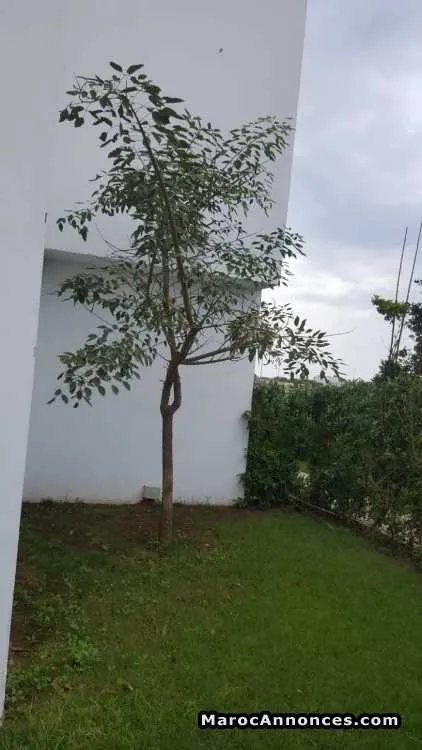 Appartement à louer dar bouaaza - الدار البيضاء (2)