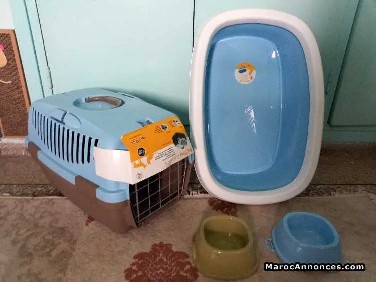 Ensembles neufs pour chat est chiot - الرباط (2)